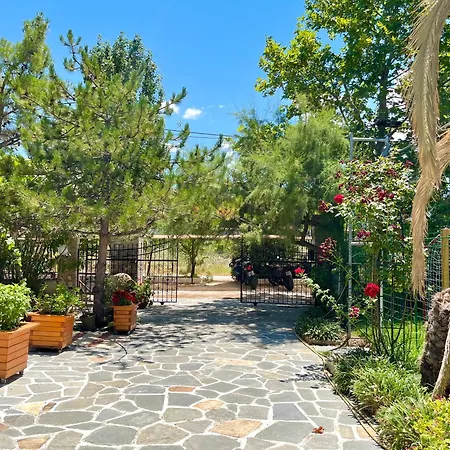 Oneiro Zois 3* Prínos