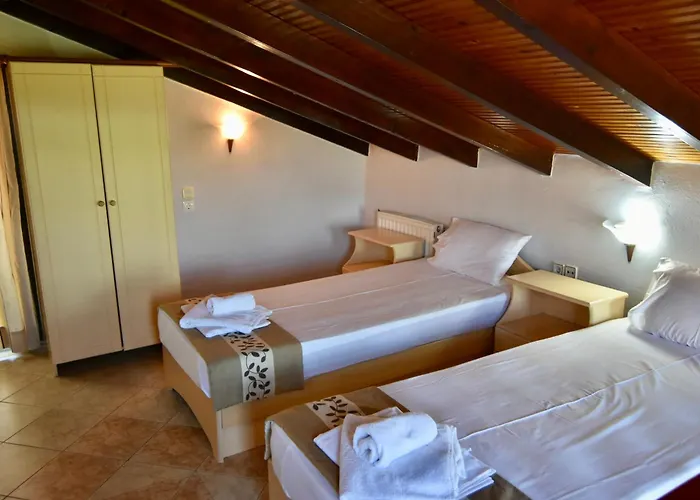 Oneiro Zois 3* Prínos