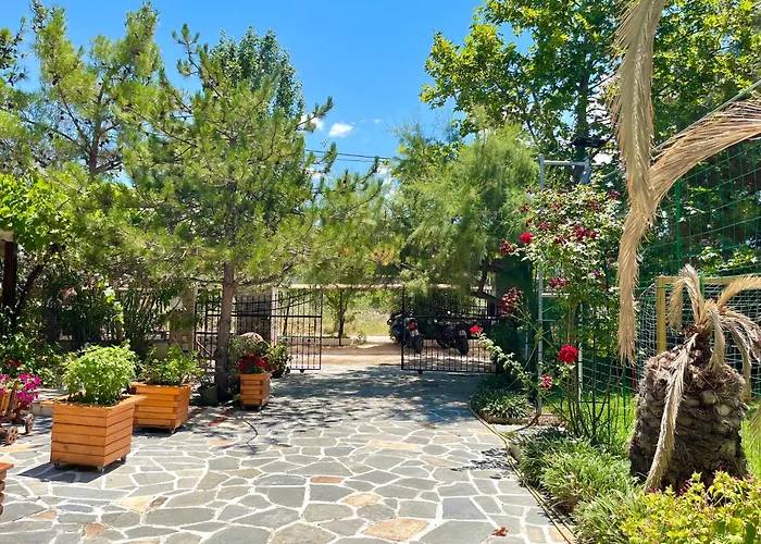 Oneiro Zois 3* Prínos